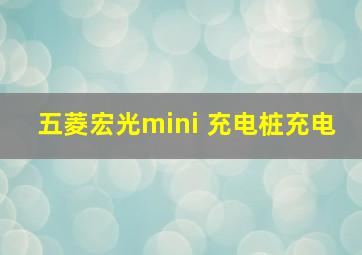 五菱宏光mini 充电桩充电